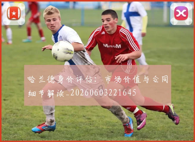 哈兰德身价评估：市场价值与合同细节解读_20260603221645
