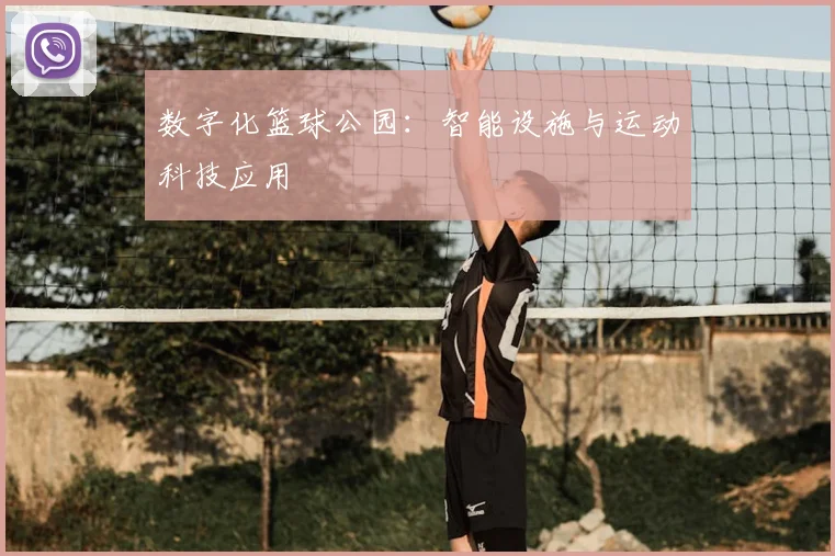 数字化篮球公园：智能设施与运动科技应用