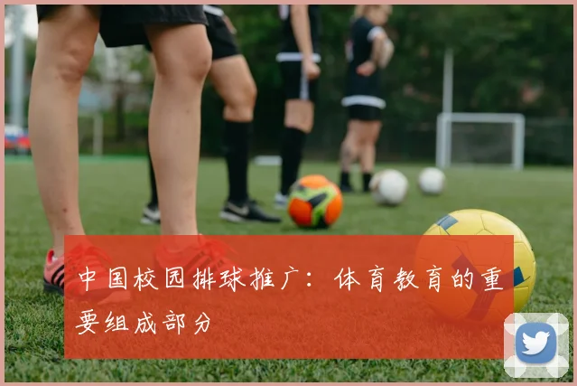 中国校园排球推广：体育教育的重要组成部分