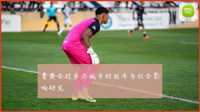 青奥会对举办城市的经济与社会影响研究