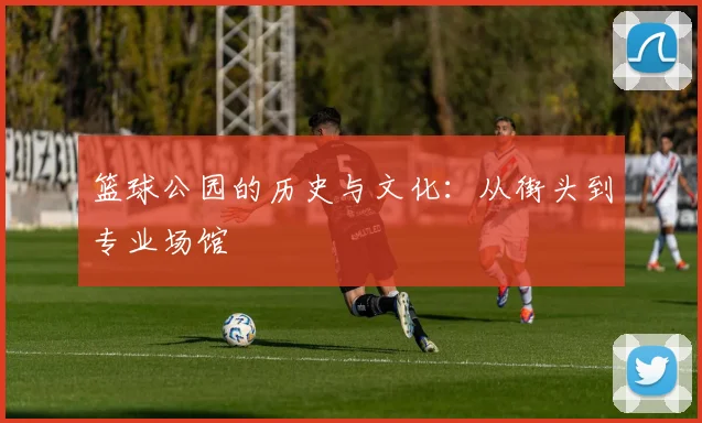 篮球公园的历史与文化：从街头到专业场馆